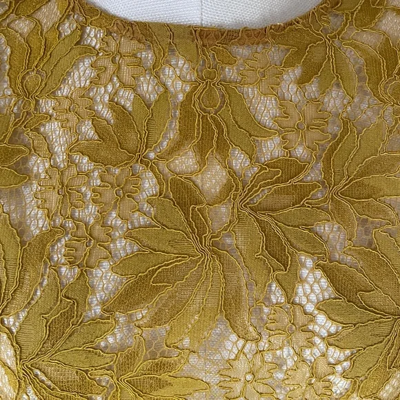 Zara lace top - Picture 6 of 7